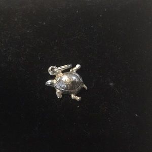turtle charm